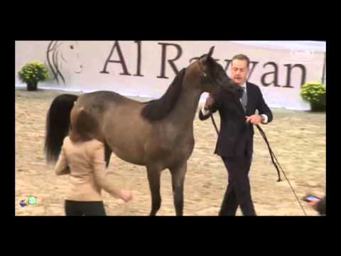 Mimi NK 1st place @ All Nations Cup