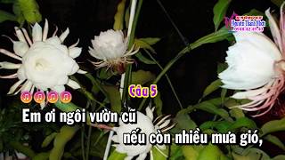 Karaoke vọng cổ HOA NỞ VỀ ĐÊM - KÉP 