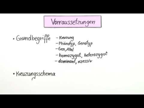 Die Rückkreuzung | Biologie | Genetik
