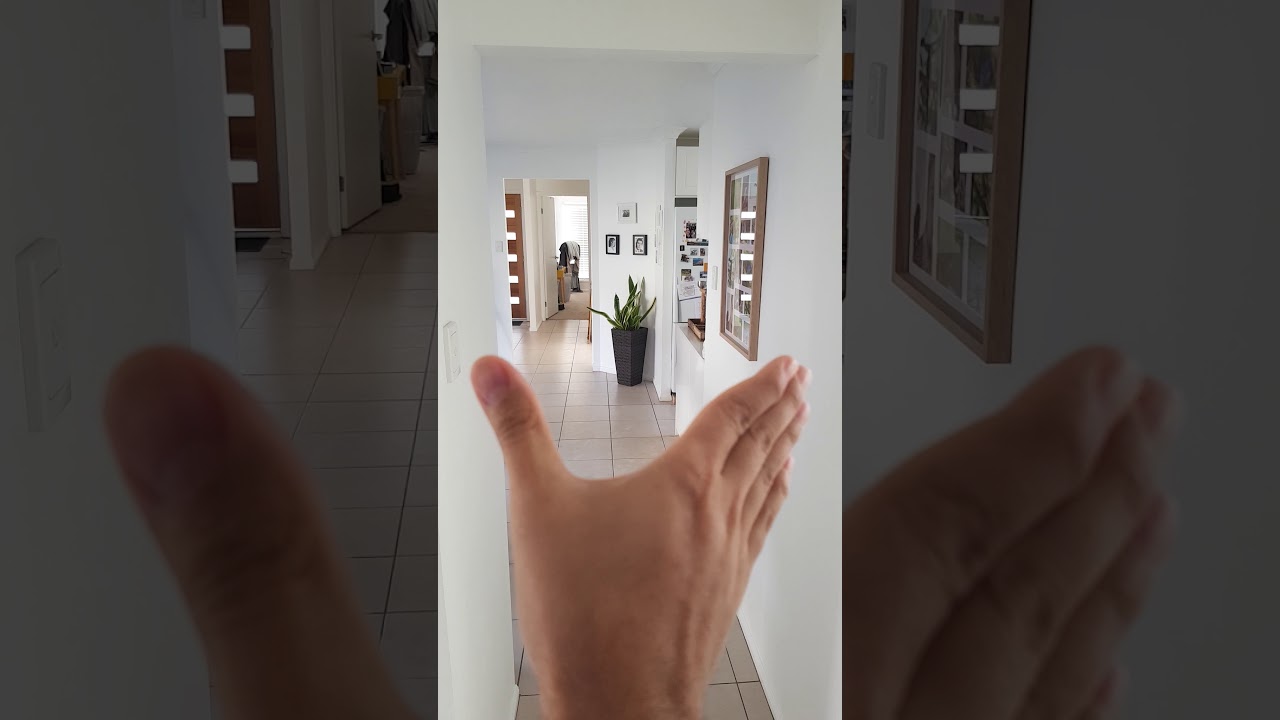 Free flying parrots - indoor recall