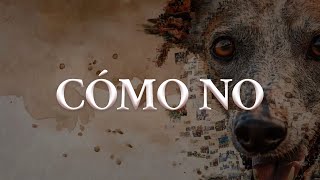 Jesse &amp; Joy - CÓMO NO (Letra oficial / Official lyrics)