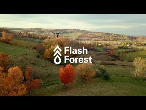 youtube video image