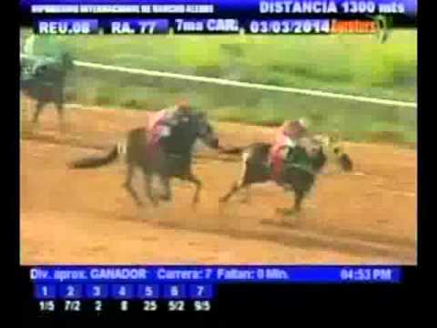 Resumen Lunes, 03 de Marzo de 2014 - Rancho Alegre