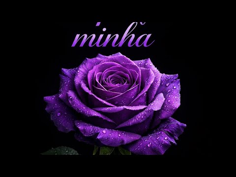 3’saz- Culpa foi minha