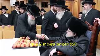 מעגל השנה בחצר הקודש בעלזא