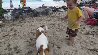 Baby and Puppy at the Beach!!