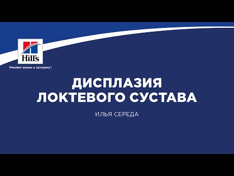 Бурсит путового сустава лошади Валентин дикуль жизнь без боли в пояснице