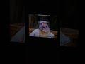 Sesame Street Episode 1867 Ending