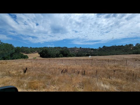 A Car Drive Tour Through Rohan and Fangorn Forest | A LOTRO Life.