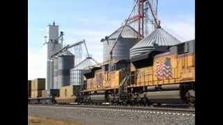 preview picture of video 'Union Pacific Nebraska Mainline Action!'