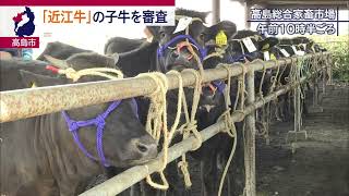 3月8日 びわ湖放送ニュース