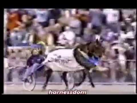 1991 Solvalla Racetrack PEACE CORPS Elitlopp Trotting Classic