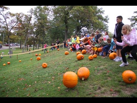 11th Annual Caseville Pumpkinfest
