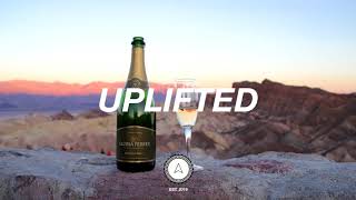 Pell - In The Morning (feat. Stephen & Caleborate)