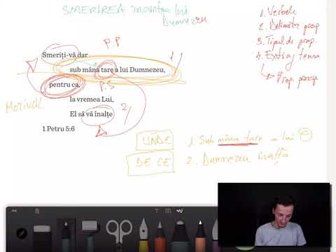 Studiu Ep.004 | Smerește te