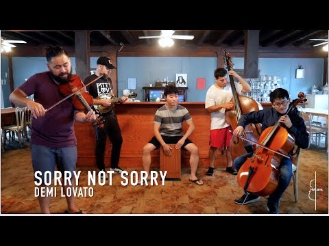 SORRY NOT SORRY | Demi Lovato || JHMJams Cover No.152 Video