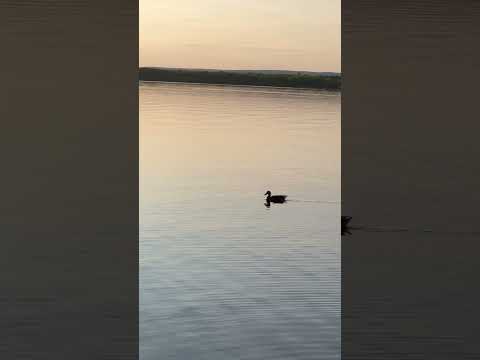Britannia beach Ottawa Canada Beautiful Evening View