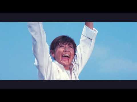 Cristóbal Dión - Assassina: Sue Xing (Official Music Video)