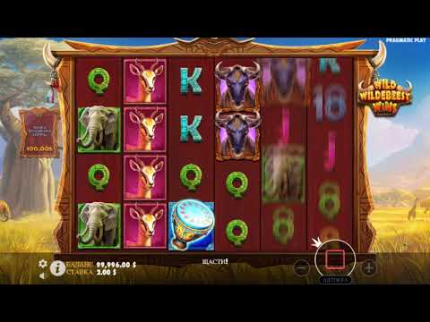 Wild Wildebeest Wins – Video Gameplay