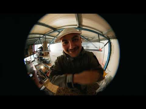 SeppXTC & Traya - Risiko