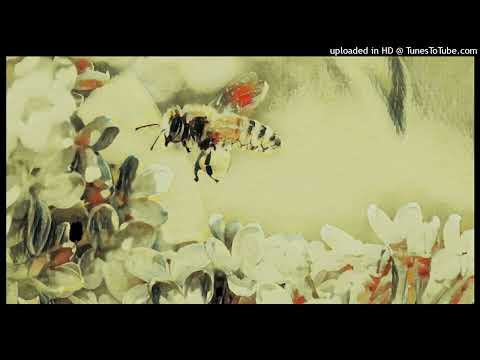 Pasaka ”Par Ceriņiem”