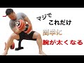 マジでこれだけ簡単に腕が太くなる 腕トレ