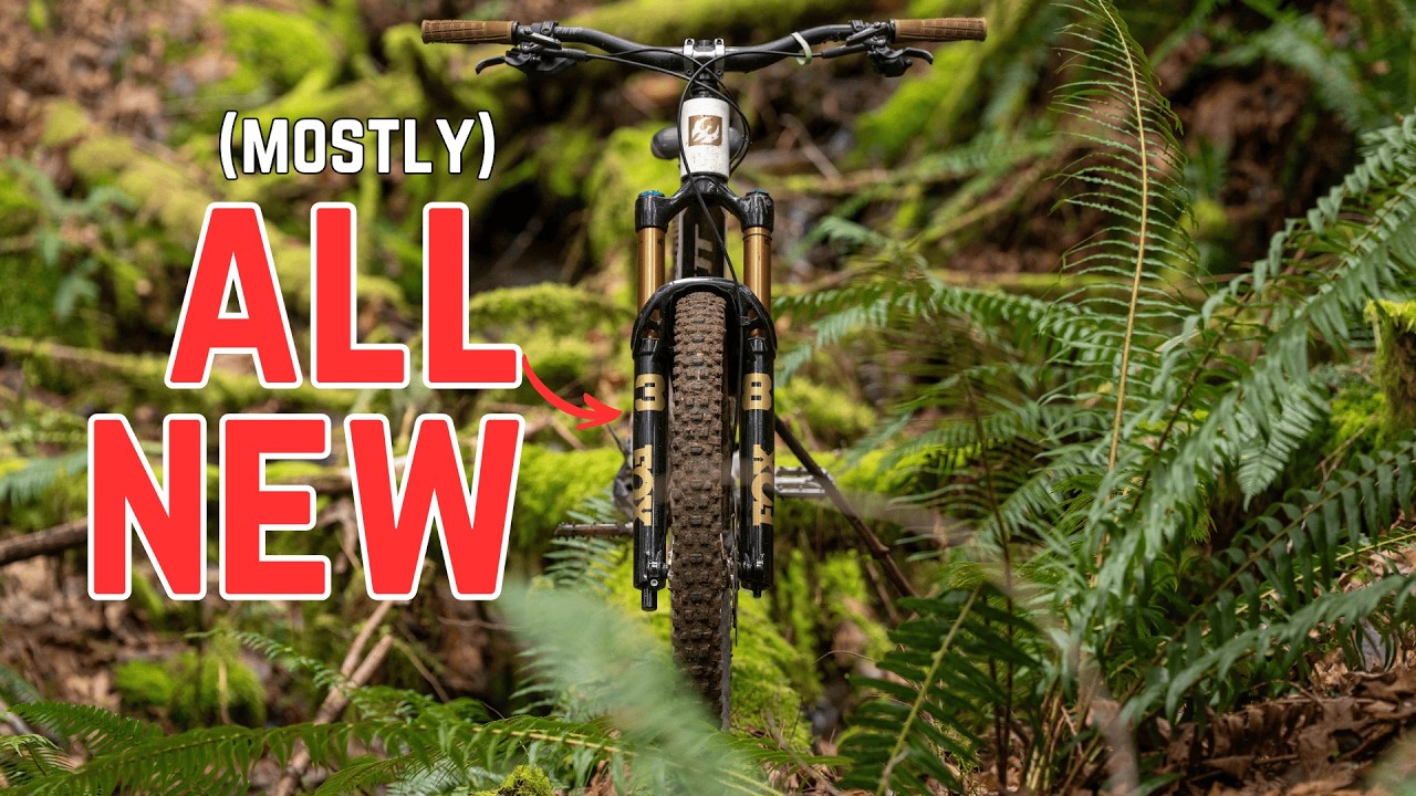 All new Fox 38 revealed!