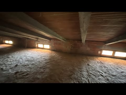 Video 5
