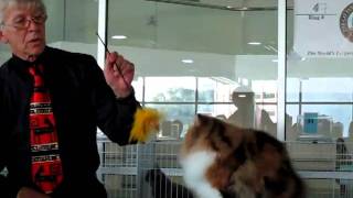 HooBee Humble @ Dennis Turner