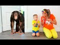 Vlad And Niki Want New Pet Funny Stories For Children