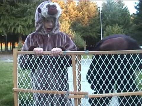 Madagascar: Whacked Out Conspiracy