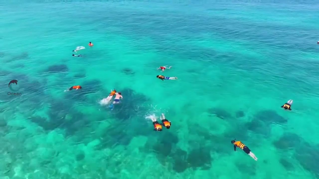 Experience snorkeling in the pristine waters of Hon Mun.