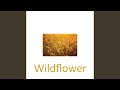 Wildflower
