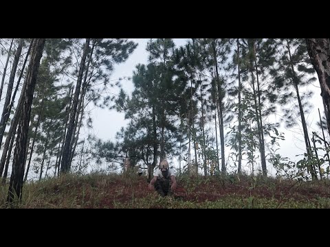 Seggy Inkk - Mr.Cartier {Official Music Video}