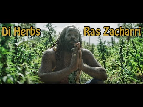 Ras Zacharri - Di HERBS official video