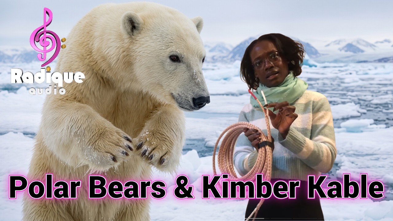 Watch Radique's Kimber dealer story video featuring polar bears and Kimber cable