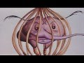 Crystal Distortion - Bez Zarre Jarre - video by Freaky