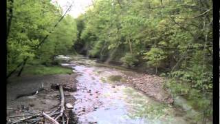 preview picture of video 'Erie Co. PA  waterways: Howard Falls, Walnut Creek, Elk Creek'