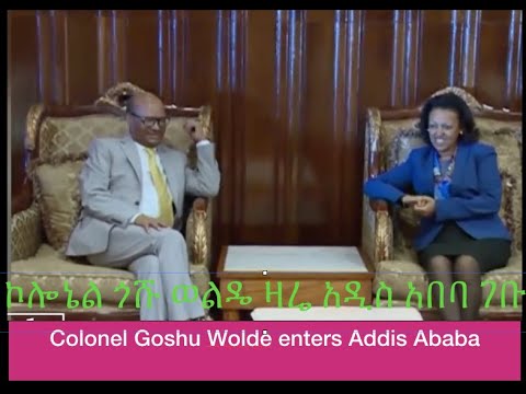 Colonel Goshu Wolde come back to Ethiopia, Addis Ababa. ኮሎኔል ጎሹ ወልዴ ዛሬ አዲስ አበባ ገቡ