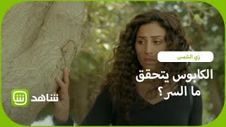 فيديو يوتيوب