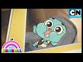 What Happened To Baby Gumball Gumball The Heart Cartoon Network