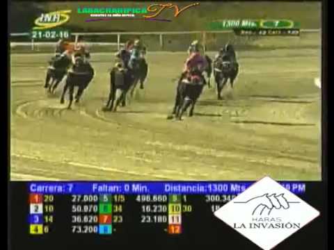 LA RINCONADA 7 CARRERA, DOMINGO 21 DE FEBRERO DEL 2016