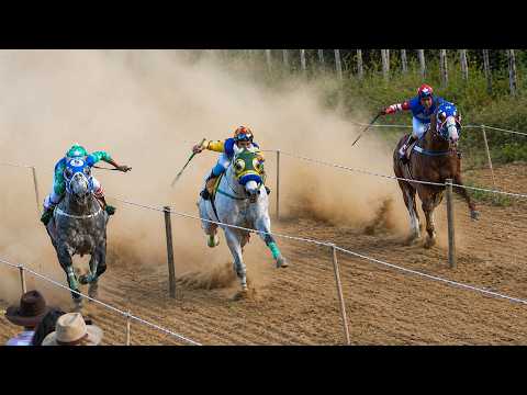 PENCA DOS CAMPEÕES - Corrida de Cavalos - Piripá/BA