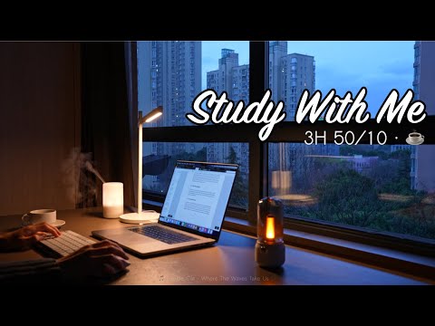 3-Hour Study with Me / Quiet Afternoon & Coffee ☕️ / Pomodoro 50-10 / Relaxing Lo-Fi / Day 141