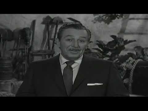 WALT DISNEY PRESENTS: ESCAPE TO PARIDISE  SWISS FAMILY ROBINSON  / HQ