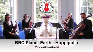 BBC Planet Earth (Hoppipolla) Wedding String Quartet