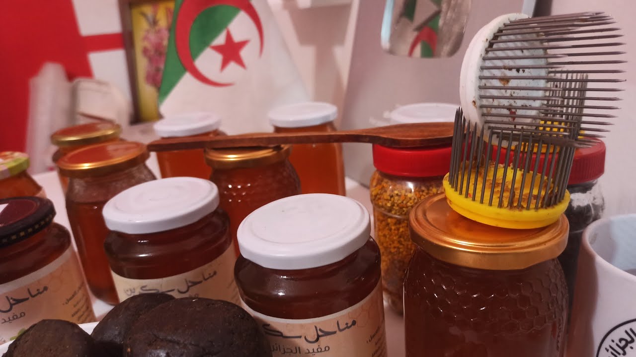 الجزائر مباشر تربية النحل 2025/12/06