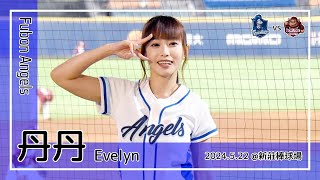 【台湾チア】丹丹 Evelyn | Fubon Angels | Here we go + 申皓瑋 應援曲 [中文歌詞]
