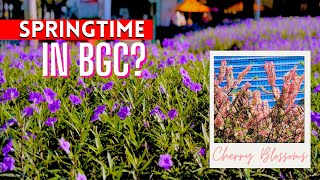 Is there Springtime in Manila? 🌸 | Palawan Cherry Blossoms in BGC and Coffee Fest 2024