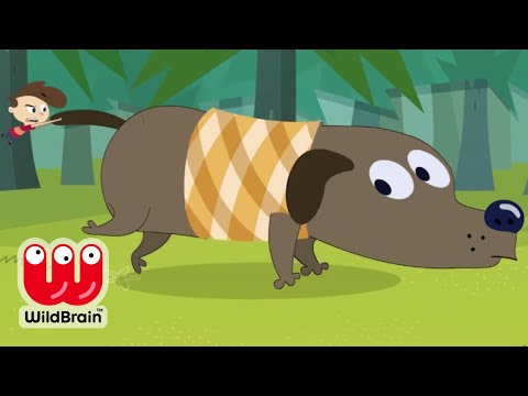 Kid Vs. Kat 🐈 When Bad Dogs Go Big / The Bottyguard 🐈 Season 2 - Episode 10 (S02E36) | WildBrain